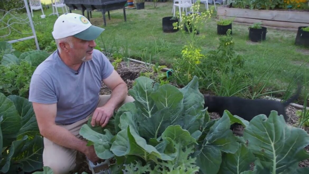 Tips On Applying Vasili's Fertilisers