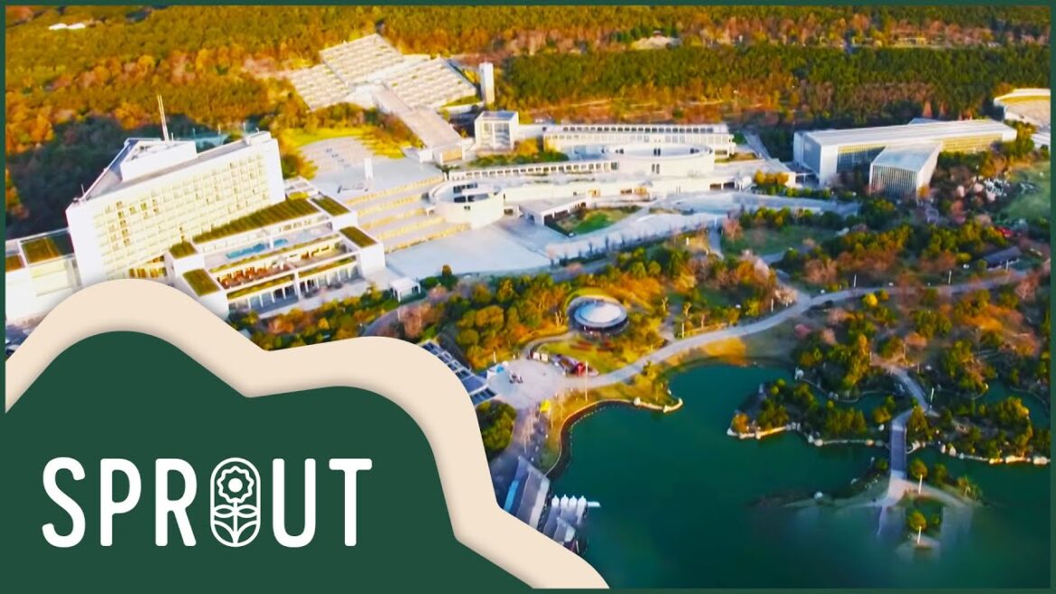 Japan's Beautiful Dream Garden | Garden Design, When Nature Meets Art | Sprout