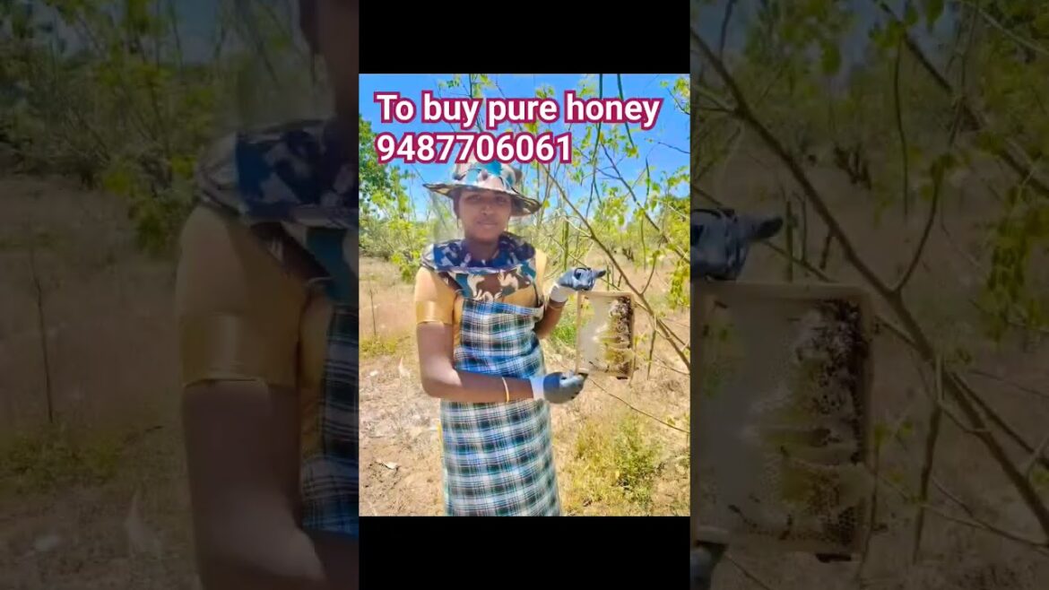 எனக்கு ரொம்ப இஸ்டமான வேலை |I love my hob|beekeeper is my identify #bee #food #honeybee  #gardening