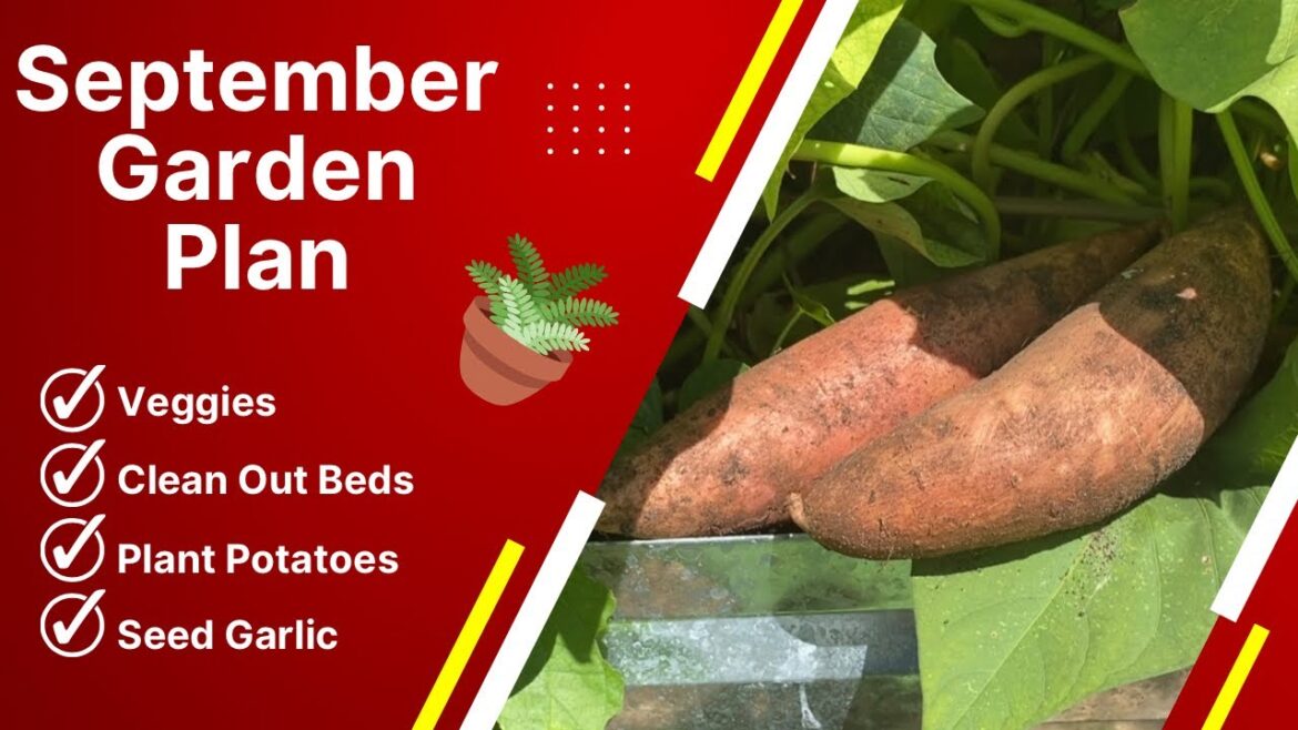 HOW TO PLAN A PERFECT SEPTEMBER GARDEN IN FLORIDA
