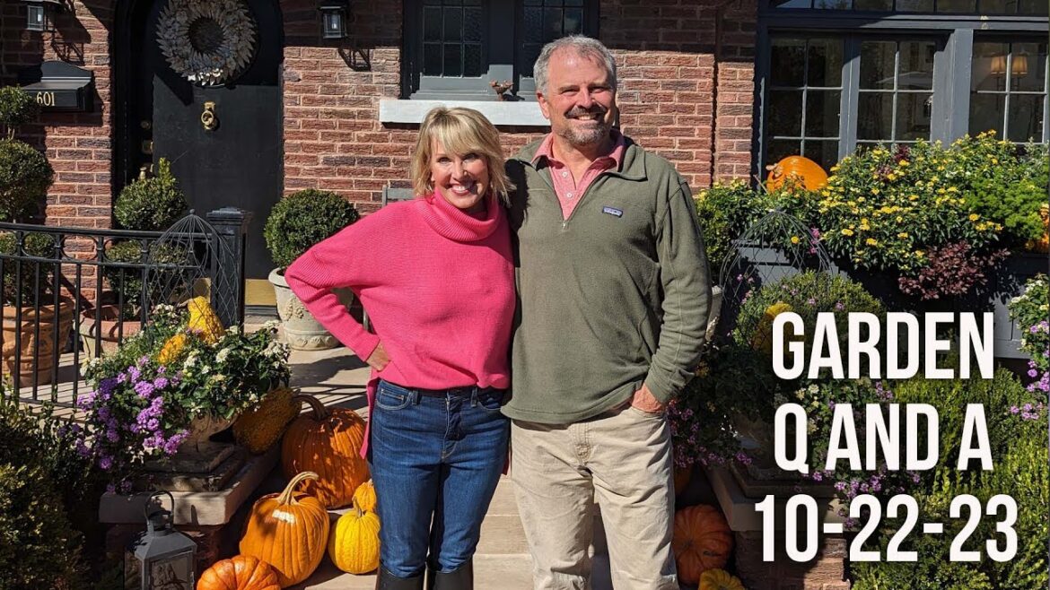 Garden Q and A at Linda Vater’s Garden – Pouring Fertilizer in the Hole, Conifers from Oregon Garden Q and A at Linda Vater's Garden - Pouring Fertilizer in the Hole, Conifers from Oregon