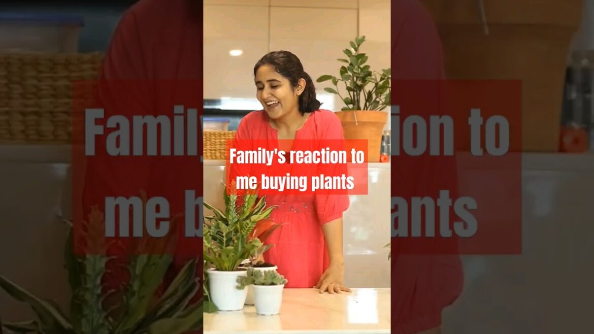 Family's reaction to me buying new plants! | Plant Haul | Season Special |  #gardenup #planthaul