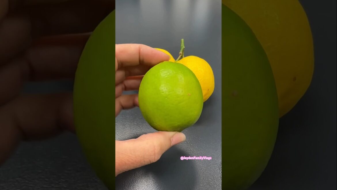 Lemon Or Lime ?!? 🍋🥝🤒 #shorts #satisfying #fruit #garden #fruitcutting #fyp #lemon #lime