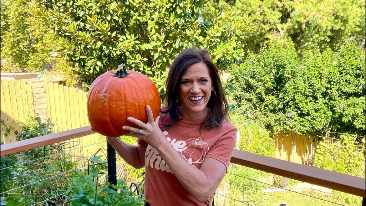 🎃LIVE: Your October Garden Questions, Our Expert Answers