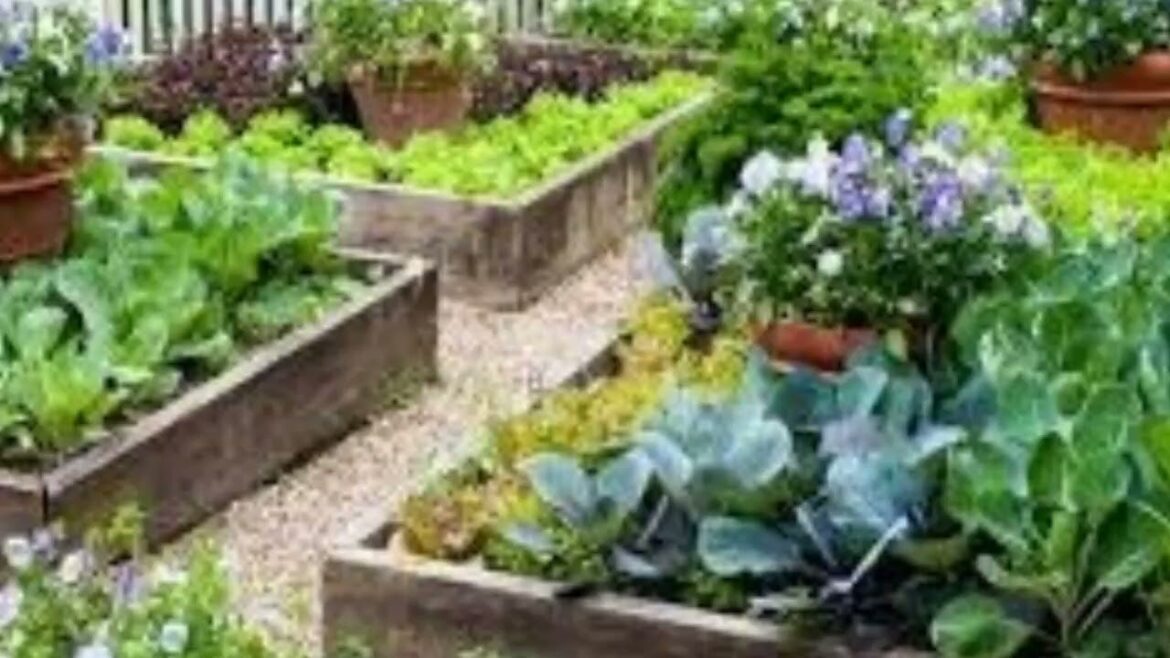 භූමි අලංකරණය සඳහා එළවලු පලතුරු භාවිතා කිරීම හෙවත් Edible landscaping and home gardening | #ediblels