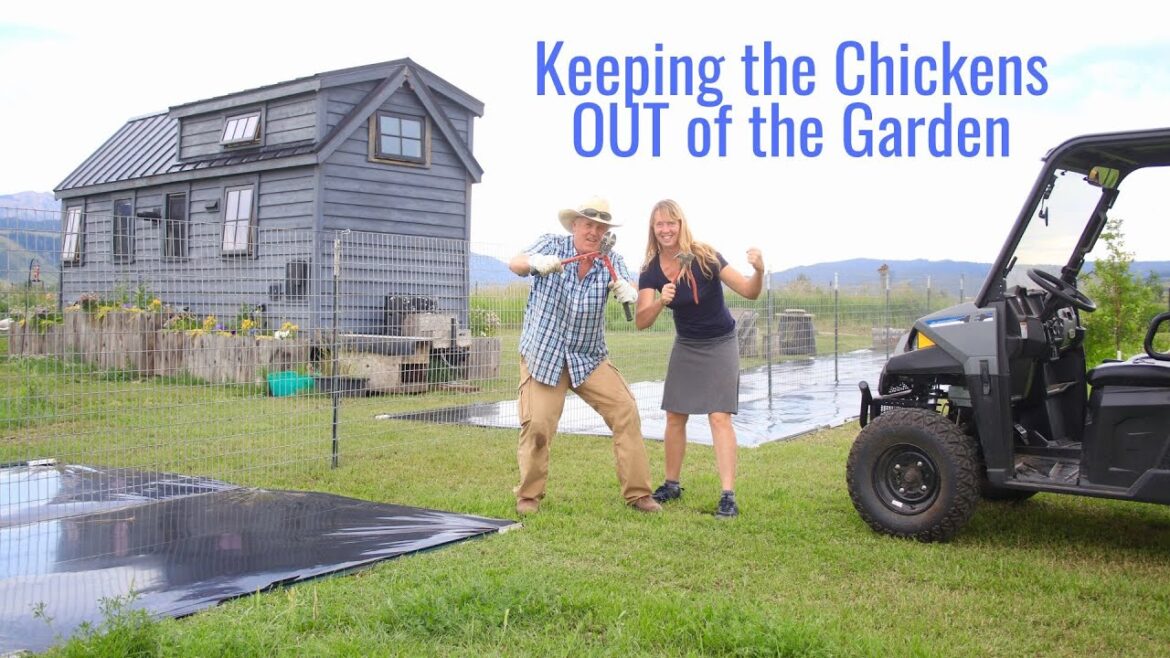 Keeping Chickens OUT of the Garden – Cross Fencing the Property with a Dual Purpose Plan Keeping Chickens OUT of the Garden - Cross Fencing the Property with a Dual Purpose Plan