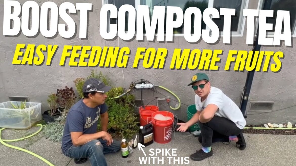 How to Boost Compost Tea & Feed When Watering Your Cannabis Garden