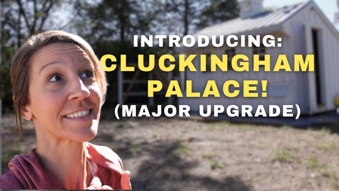 Is this too fancy for a Tennessee Homestead? Is this too fancy for a Tennessee Homestead?