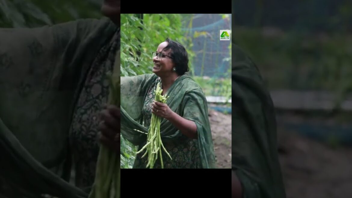 കൃഷിയിൽ ഫുൾ A+! ഇത് വീട്ടുമുറ്റത്ത് ഇഞ്ചോടിഞ്ച് കൃഷി ചെയ്തു മുന്നേറുന്ന അധ്യാപക ദമ്പതികൾ കൃഷിയിൽ ഫുൾ A+! ഇത് വീട്ടുമുറ്റത്ത് ഇഞ്ചോടിഞ്ച് കൃഷി ചെയ്തു മുന്നേറുന്ന അധ്യാപക ദമ്പതികൾ