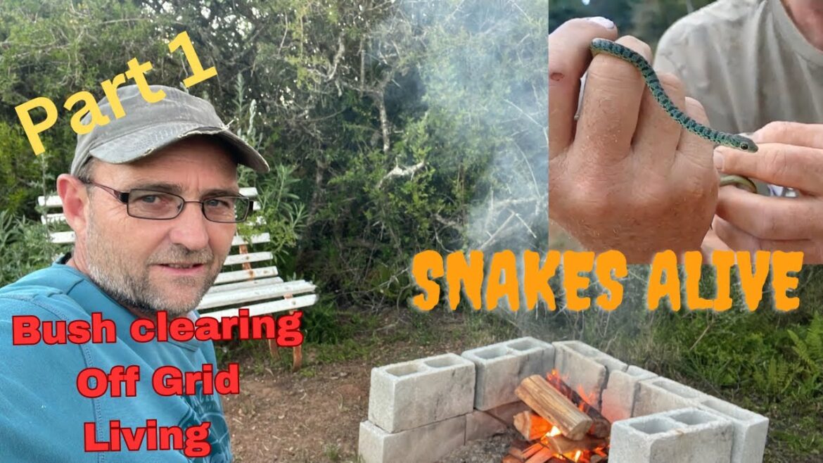 Snakes Alive!!!! Part 1 Homesteading Off grid