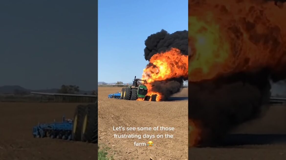 #agriculture #youtubeshorts #farming #noamancreation #farmforsale