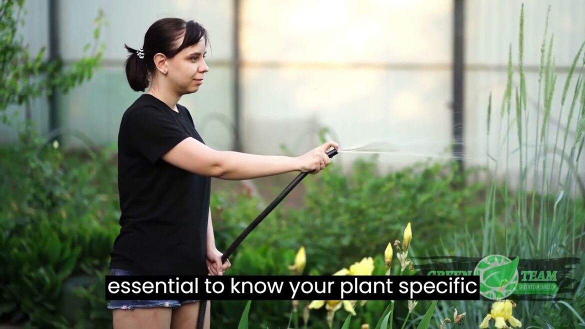 Mastering Tree & Shrub Care: Gardening Treatment Plans Explained. #SaveYourGreen Mastering Tree & Shrub Care: Gardening Treatment Plans Explained. #SaveYourGreen