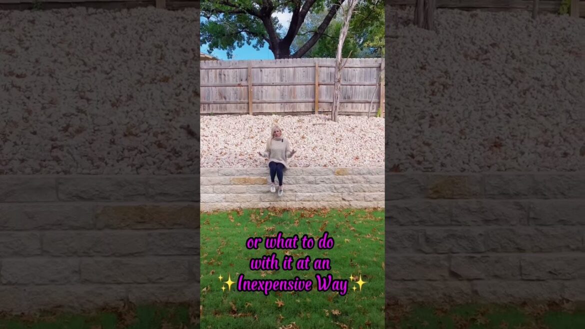 GET YOUR LOW MAINTENANCE YARD TOO♥️ #realestate #landscape #backyard #lowmaintenance #homebuyers