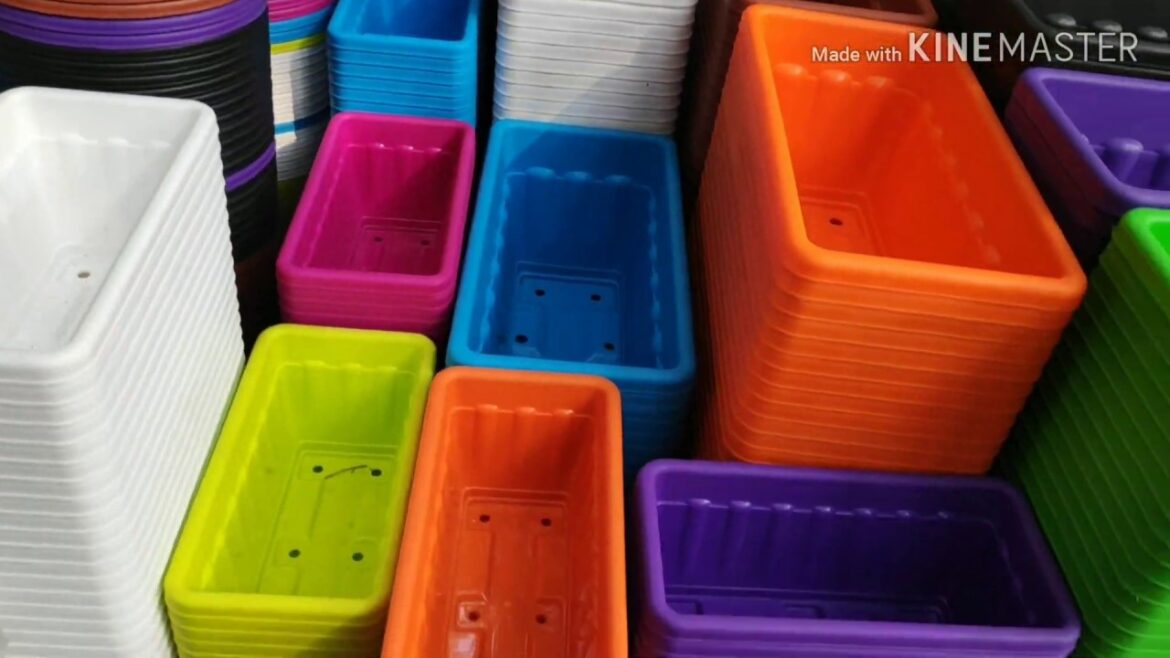 Hyderabad Shopping For Gardening Materials | Seeds | Gardening Tools Hyderabad Shopping For Gardening Materials | Seeds | Gardening Tools