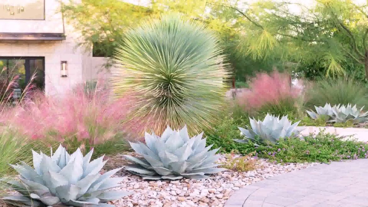 Front Yard Landscaping Ideas North Texas