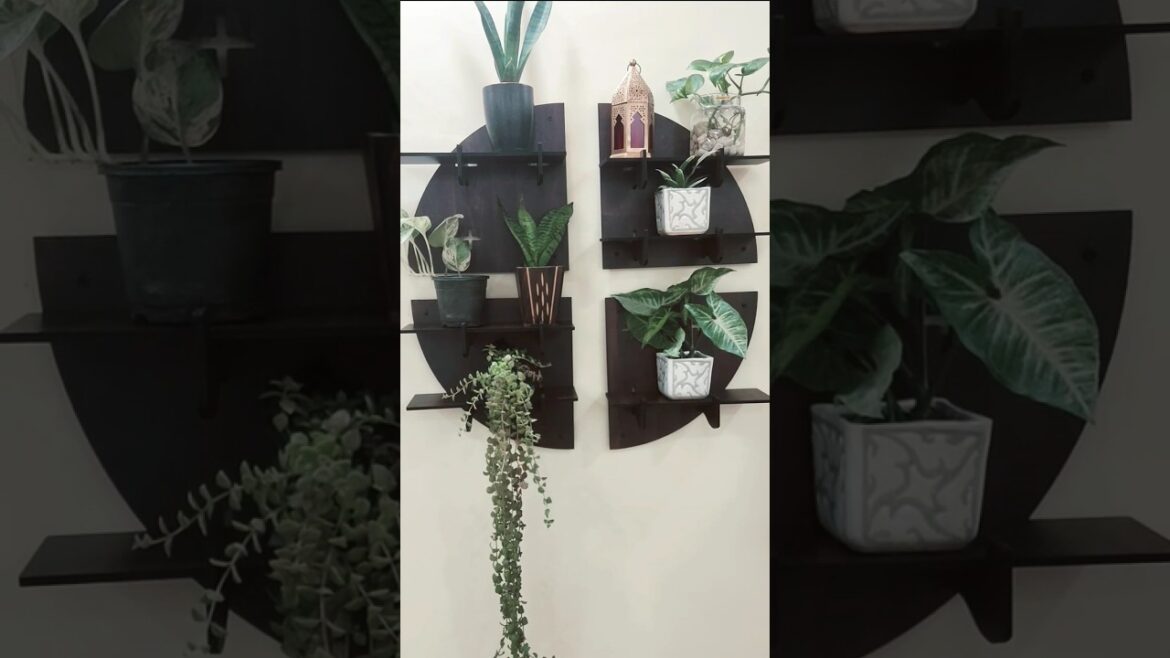 Wall Decoration with Plants | #decorwithplants #decoration #navratri #indoorplants #viral #shorts Wall Decoration with Plants | #decorwithplants #decoration #navratri #indoorplants #viral #shorts