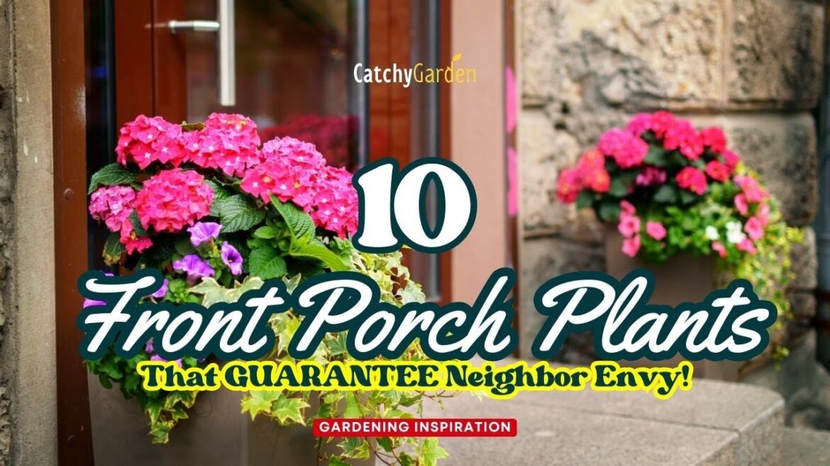 10 Front Porch Plants That GUARANTEE Neighbor Envy! 🌹🏠🌷 // Gardening Ideas