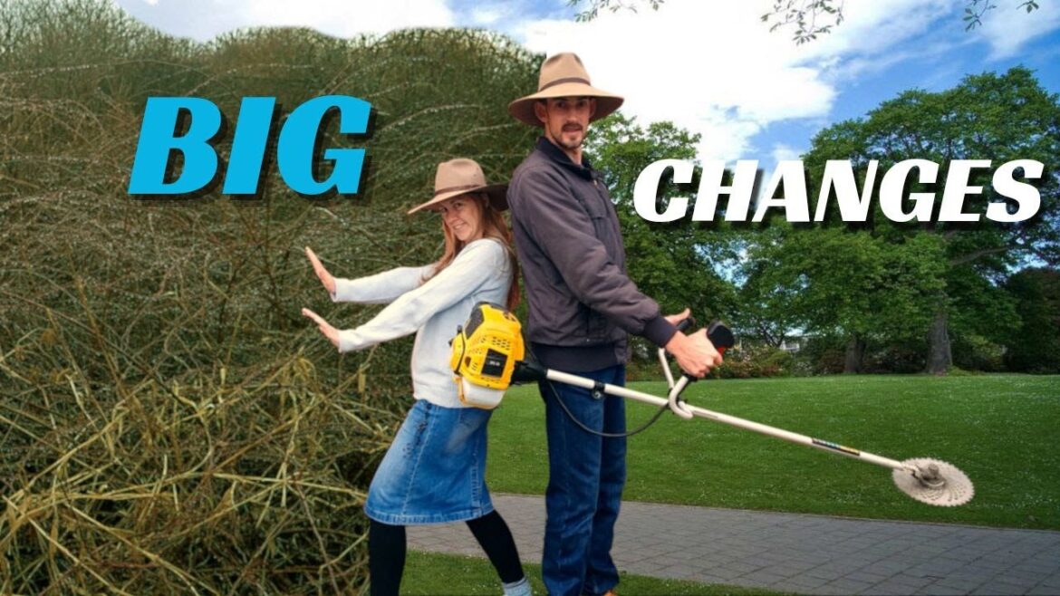 Buying land in Russia and making plans pt2 Buying land in Russia and making plans pt2