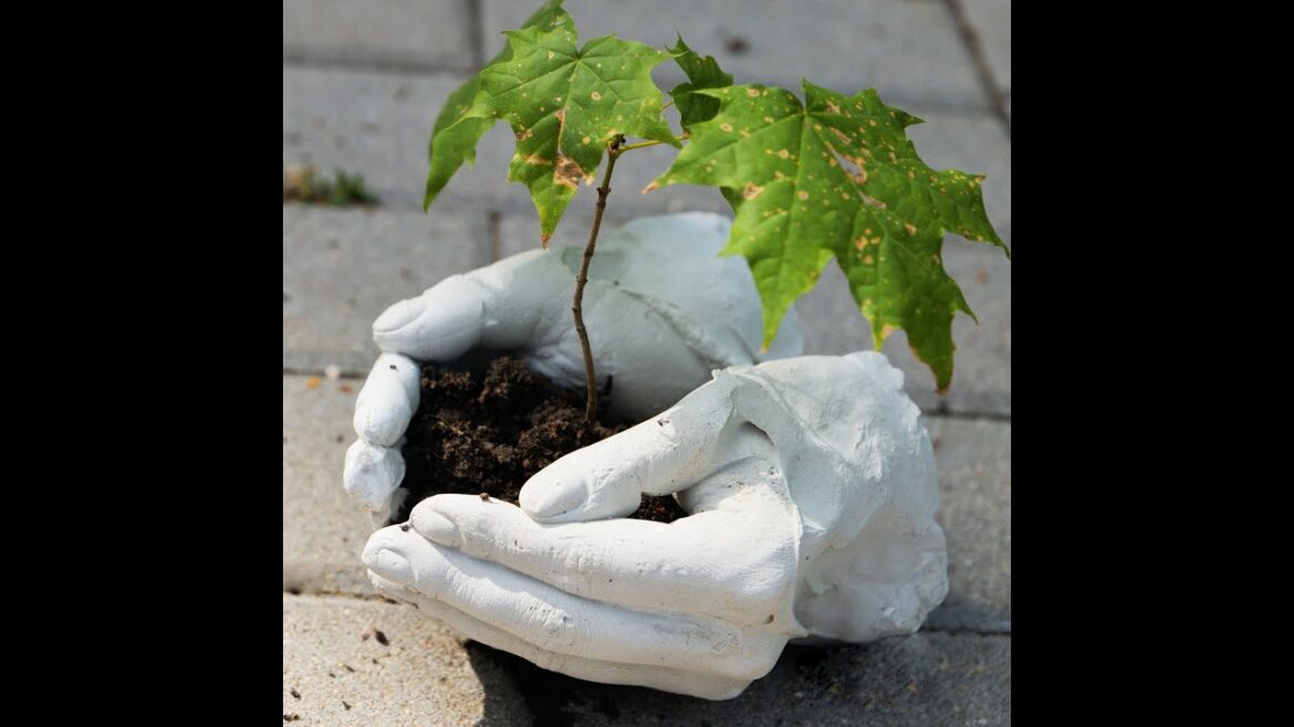 Protect your plants with style using this craft 🌱