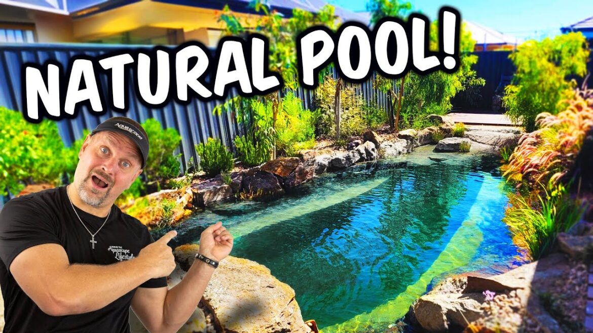 NATURAL Plunge Pool. YOU NEED ONE