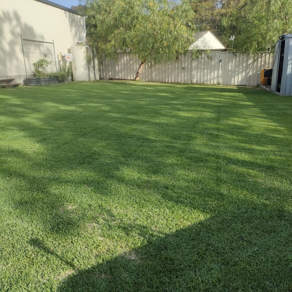 First mow after a full renno