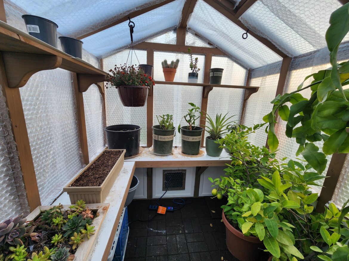 I fully bubble wrapped my greenhouse today. I'm excited to see how much better it handles the freezing Temps tonight.