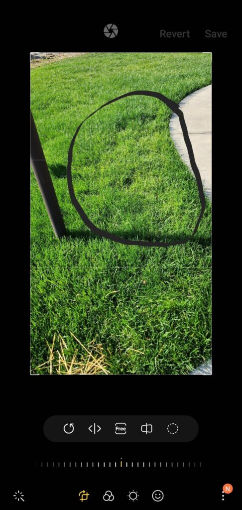 Please help Please help