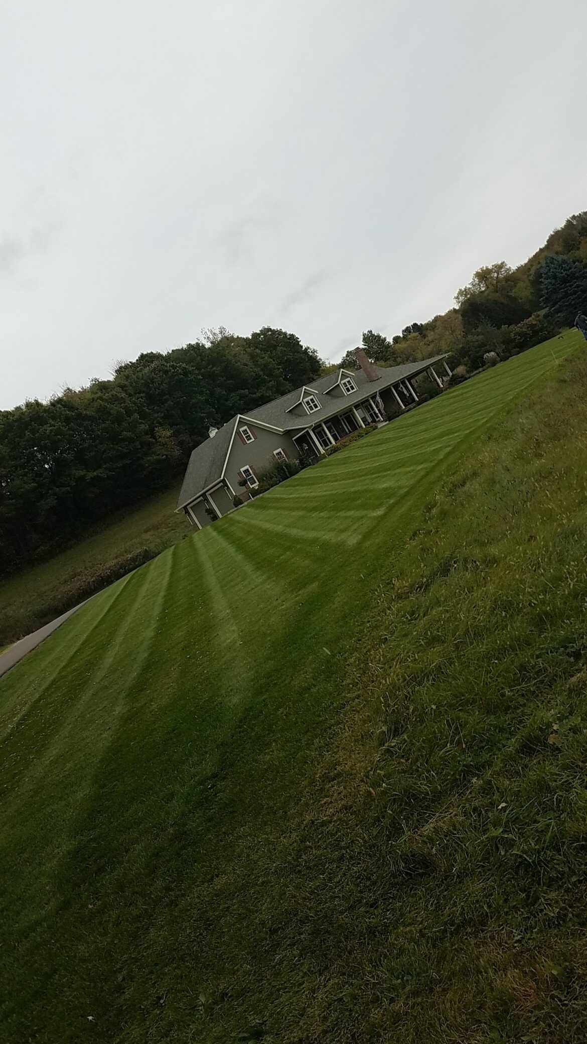 They call me "the mowgician"