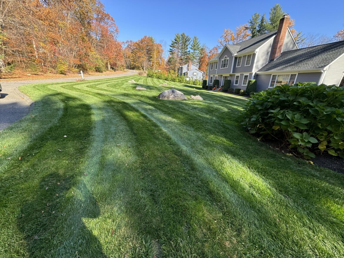 From diseased and dying to lush and green