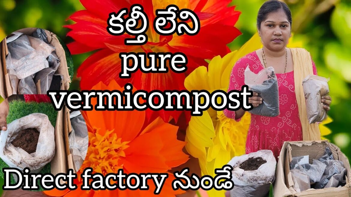 pure vermicompost అందుబాటు ధరలో డైరెక్ట్ factory నుండే | gardening pure vermicompost అందుబాటు ధరలో డైరెక్ట్ factory నుండే | gardening