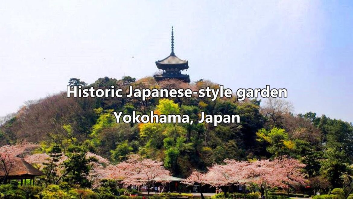 Spring in a Historic Japanese Garden Yokohama, Japan Spring in a Historic Japanese Garden Yokohama, Japan