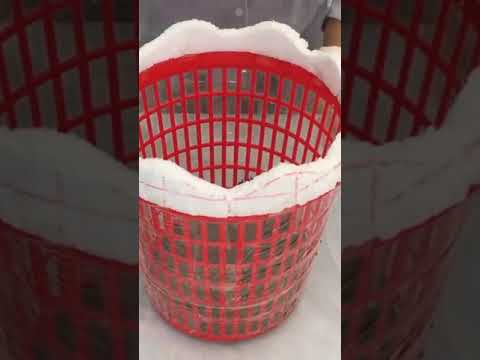 How To Casting Cement Pots Beautiful At Home |8 Projects to cast plant pots from cement cement ideas How To Casting Cement Pots Beautiful At Home |8 Projects to cast plant pots from cement cement ideas