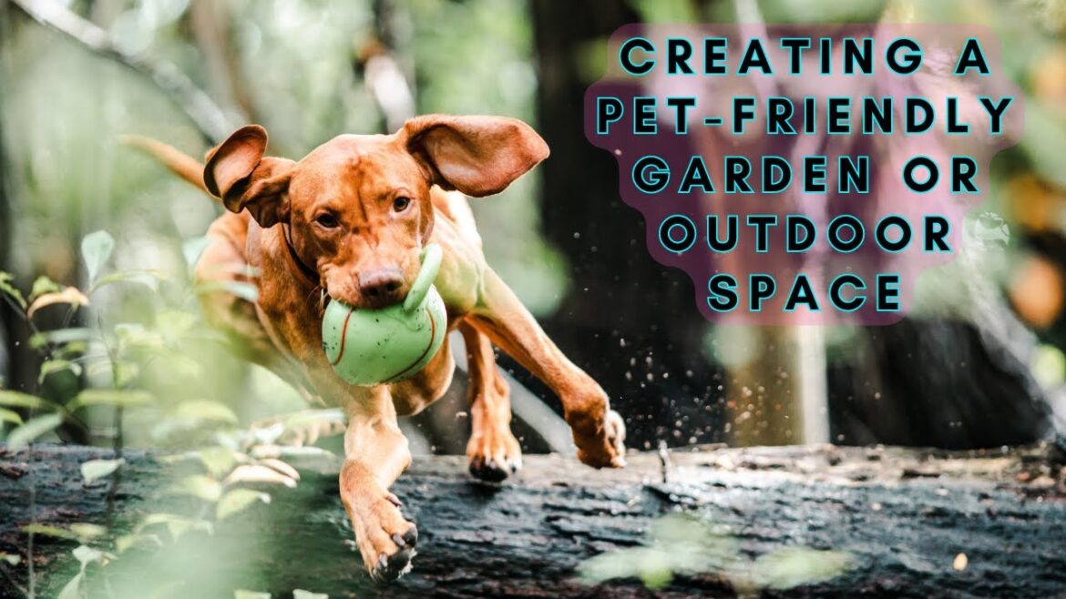 Garden Makeover: Pet-Friendly Edition Garden Makeover: Pet-Friendly Edition