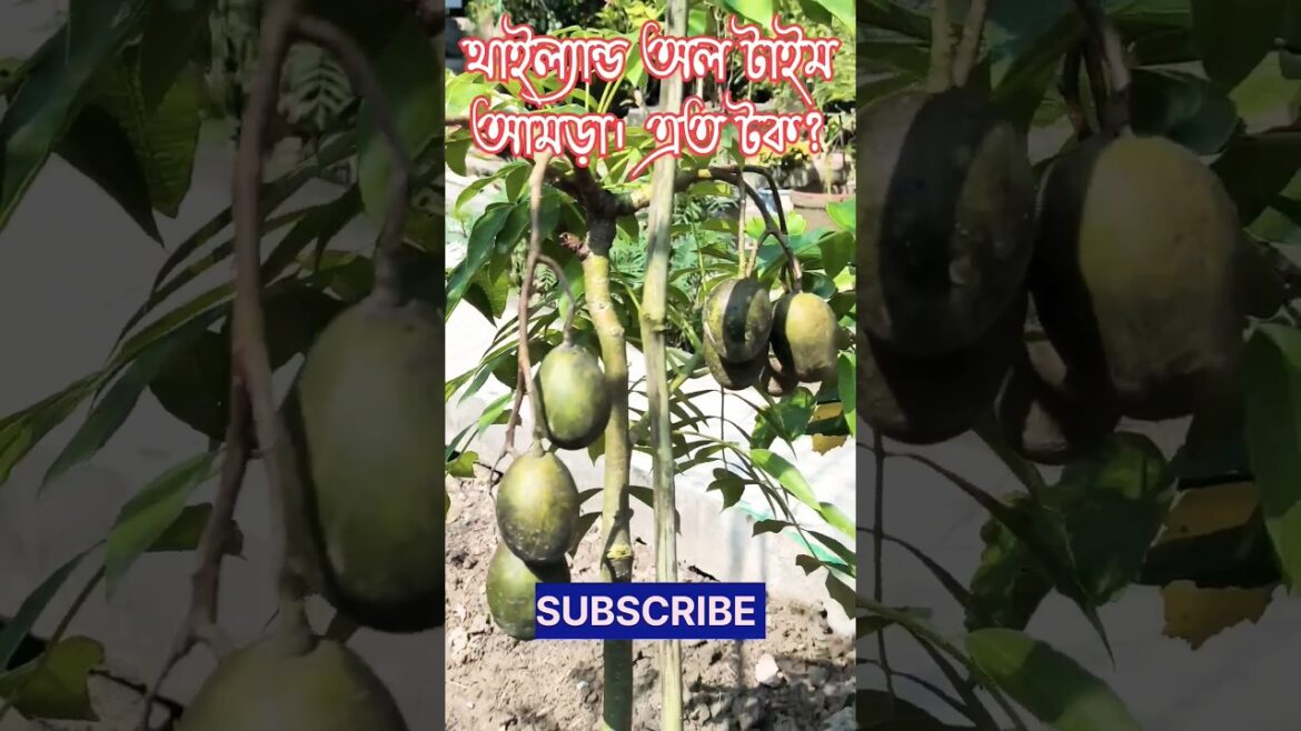 Harvesting & Tastings | #shortsfeed #harvesting #gardeningvideos