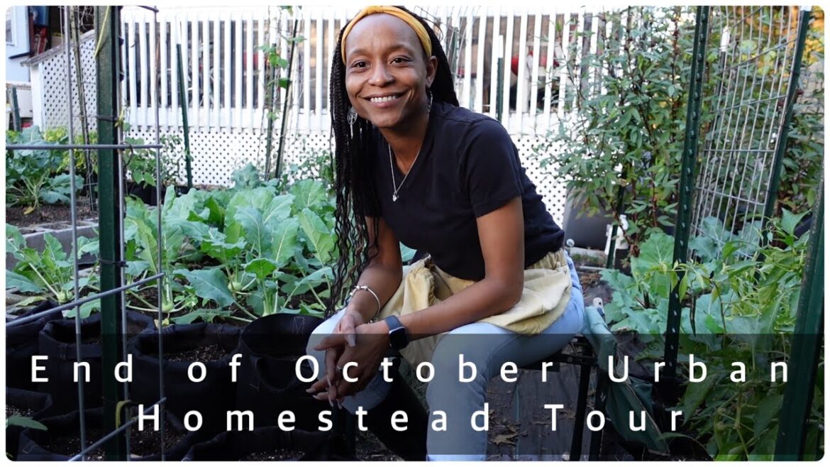 October Urban Homestead Garden Tour | Buy Those Starts | Frost Is Coming | HGT Kneeler October Urban Homestead Garden Tour | Buy Those Starts | Frost Is Coming | HGT Kneeler