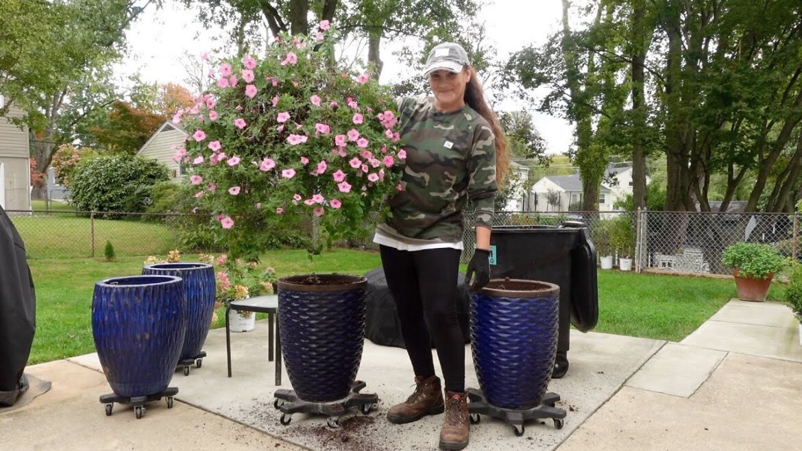 Big Blue Containers for Fall and Winter Interest 🌲🍁❄️/ Dirt and Dish