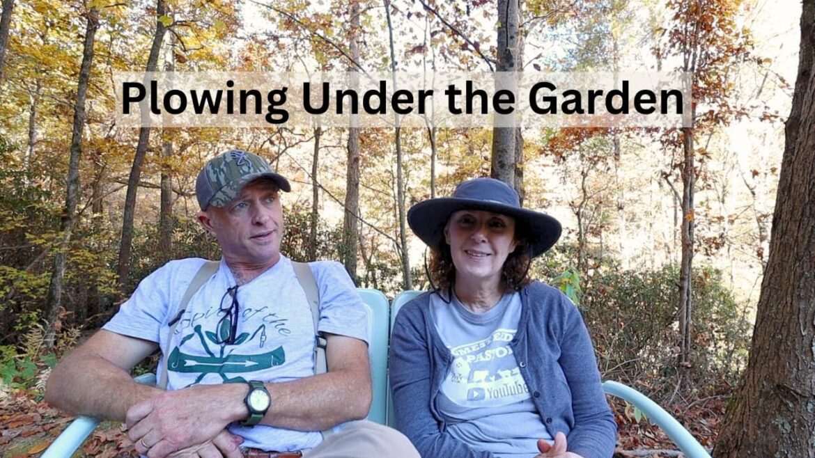 Plowing Under the Garden & How Miss Rachel is Doing Plowing Under the Garden & How Miss Rachel is Doing