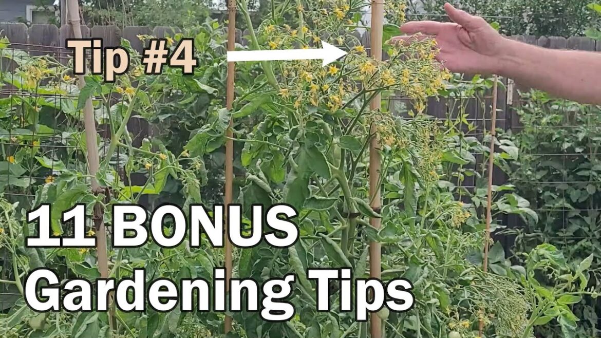 11 BONUS Gardening Tips That Any Gardener Can Use – Beginner or Experienced 11 BONUS Gardening Tips That Any Gardener Can Use - Beginner or Experienced