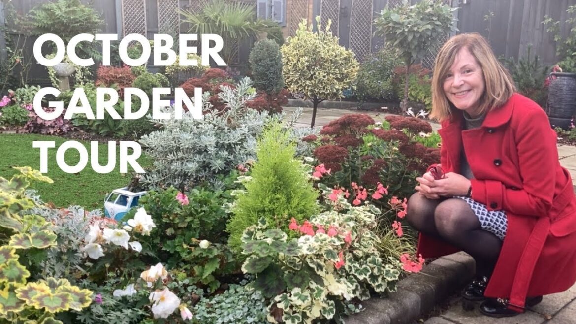 Beautiful Autumnal Colours For The October Garden Tour! 🍁