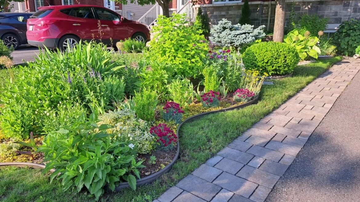 Our Small Garden | Perennial front yard garden tour  #gardentour #garden #perennials #new