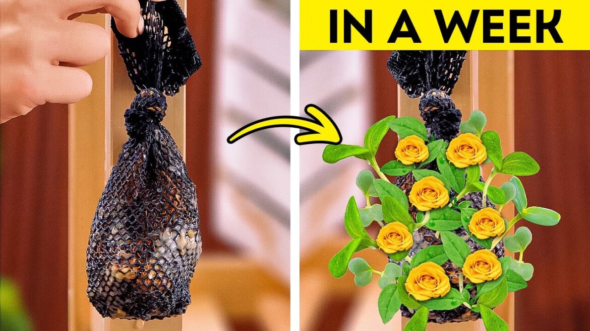 Easy Gardening Hacks for a Beautiful Garden ๐ด๐ Easy Gardening Hacks for a Beautiful Garden ๐ด๐