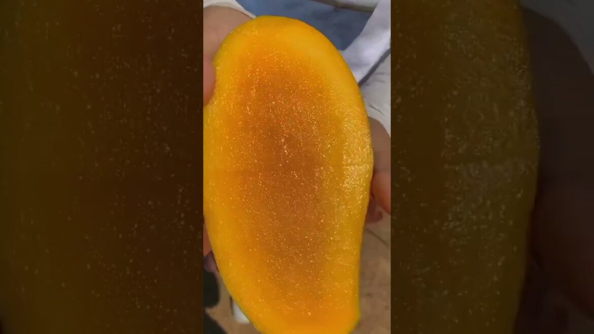 beautiful mango 🥭🥭🥰 #shorts