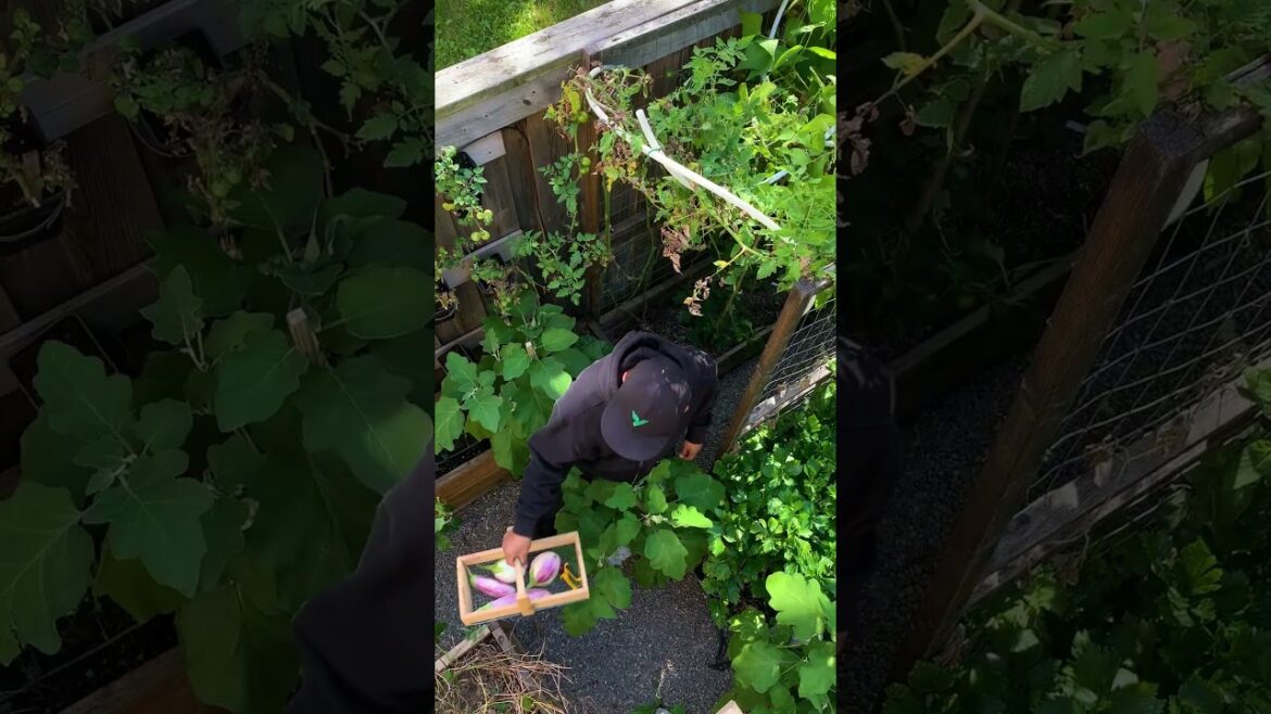 If you can turn your love for the garden into a meaningful career, would you go for it?