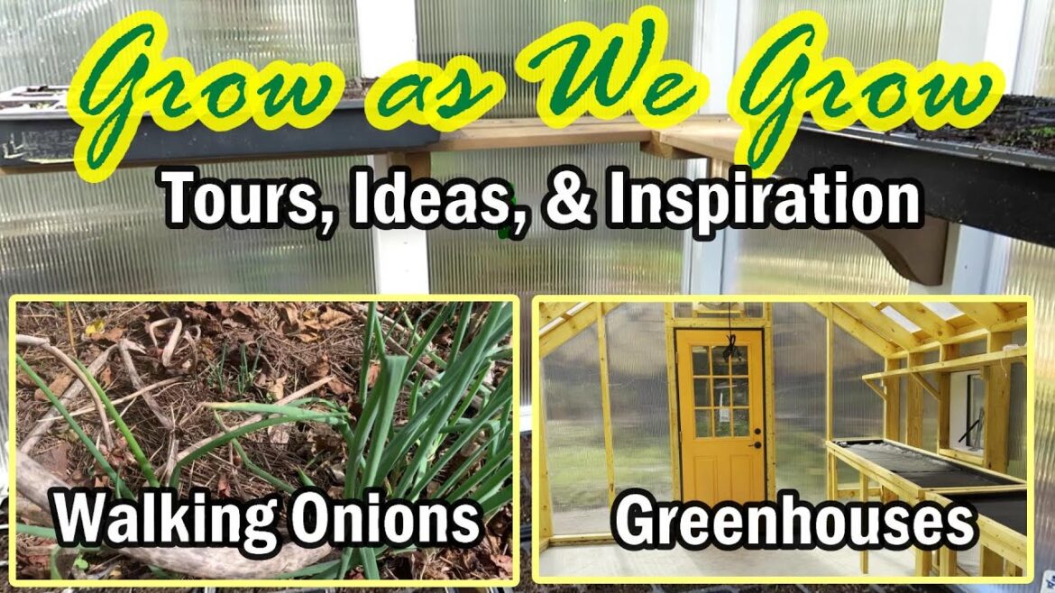 Gary Pilarchik: Garden Ideas, Inspiration, Tours, & Questions: The Grow as We Grow Perk Membership Series E-10 Garden Ideas, Inspiration, Tours, & Questions: The Grow as We Grow Perk Membership Series E-10