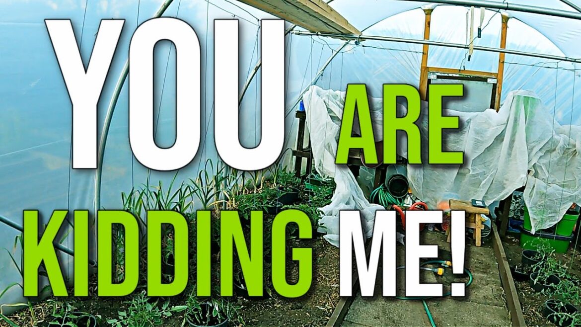 Not This Again – PLEASE NO… | Allotment Gardening With Tony Not This Again - PLEASE NO... | Allotment Gardening With Tony