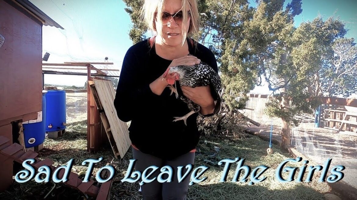 Packing Up & Leaving Home - Last Tour & My Winter Plans