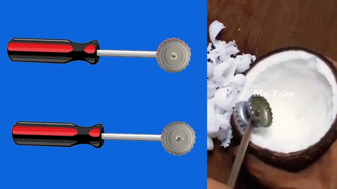 This Easy Coconut Meat Removal Tool Will Work Like Magic! tm Buying Guide Pro