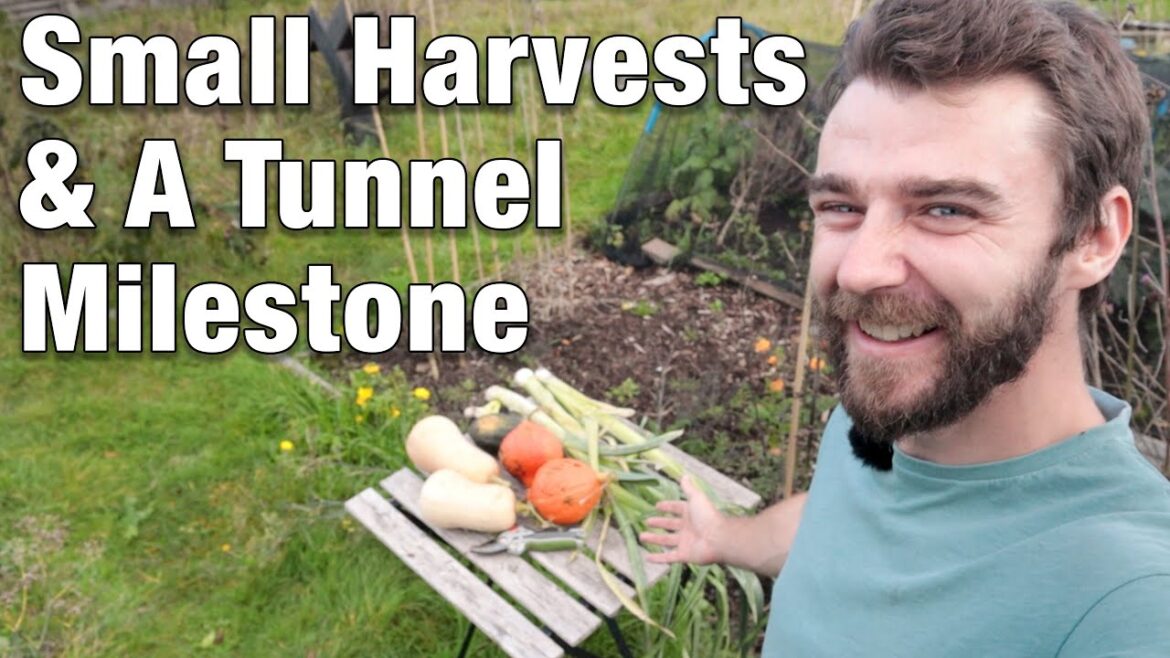 Glorious Day | Third Plot | Squash Harvests | (More) Tunnel Progress!