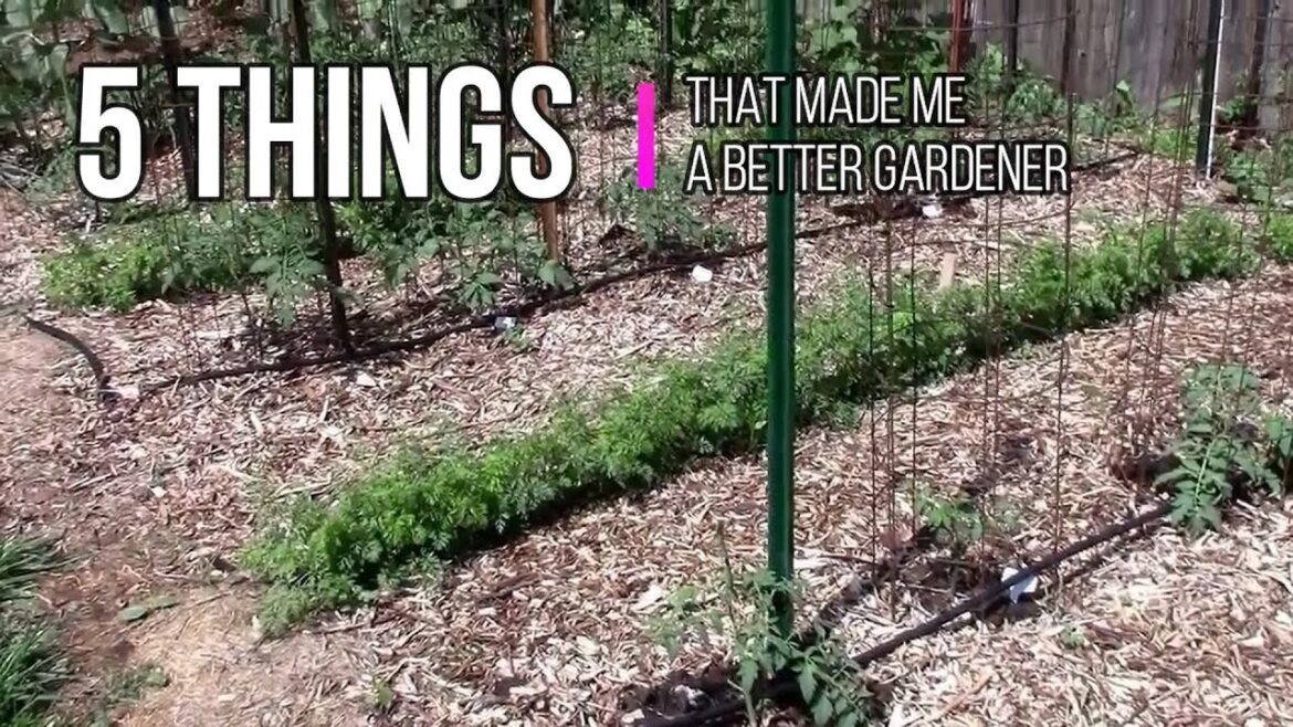 5 Things That Made Me A Better Gardener 5 Things That Made Me A Better Gardener