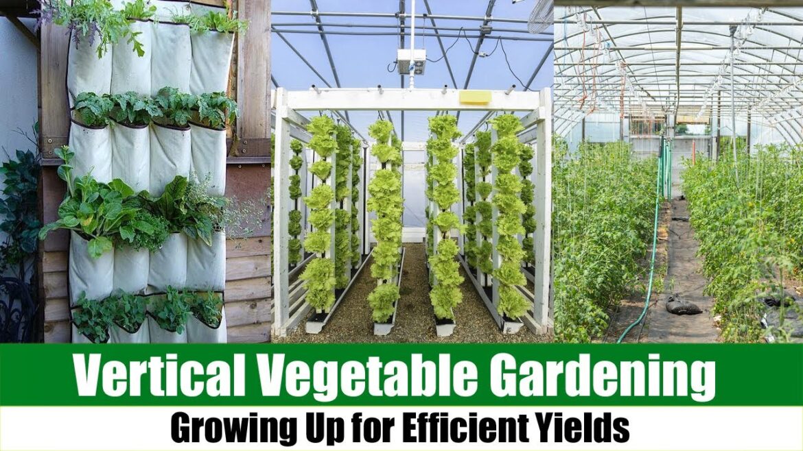 Vertical Vegetable Gardening: Growing Up for Efficient Yields Vertical Vegetable Gardening: Growing Up for Efficient Yields